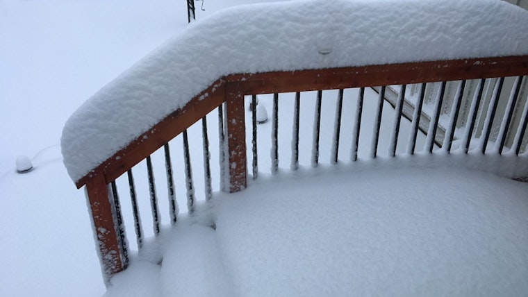 Portland-Area Winter Storm Claims Four Lives, Suspected Hypothermia Deaths Mount in Multnomah County