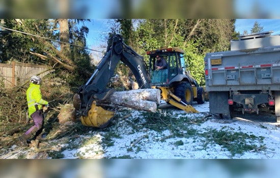 Portland Emerges from Intense Winter Storm, Begins Recovery and Honors Lives Lost