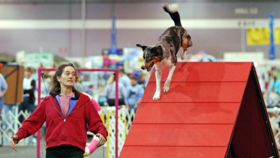 Portland Goes to the Dogs: Rose City Classic Show to Crown Top Pooch This Weekend