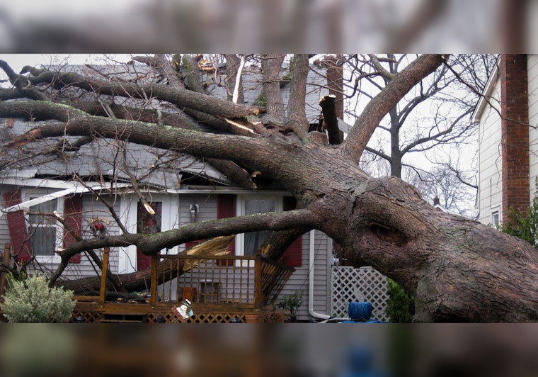 Portland Rallies to Assess and Repair Storm Damage, Speeds Up Permitting for Property Owners