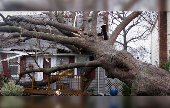 Portland Rallies to Assess and Repair Storm Damage, Speeds Up Permitting for Property Owners