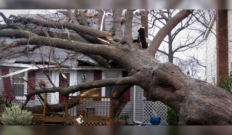 Portland Rallies to Assess and Repair Storm Damage, Speeds Up Permitting for Property Owners