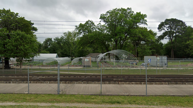 Restorative Farms Cultivates Fresh Produce and Entrepreneurs, Revitalizing South Dallas with Urban Farming Innovation