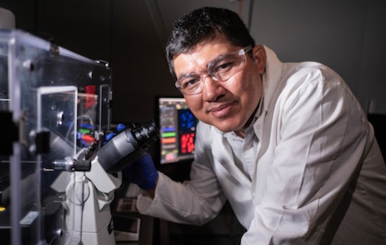 Rice University's Breakthrough 'Molecular Jackhammer' in Houston Crushes Cancer Cells Using Vibrations