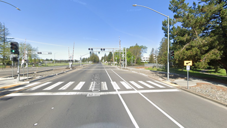 Rohnert Park Man and Dog Fatally Struck by Vehicle, Poor Visibility a Possible Factor
