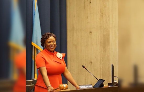 Ruthzee Louijeune Unanimously Elected as Boston City Council's New President Amid Hopes for Unity