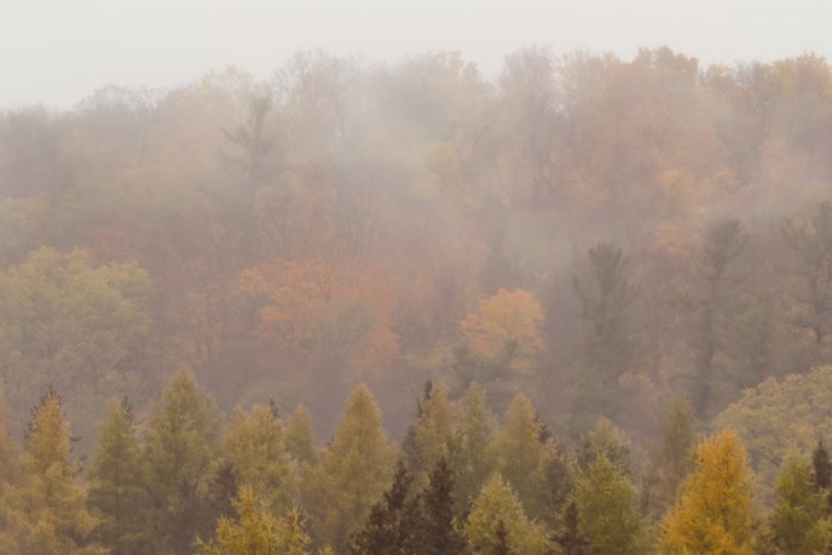 San Antonio Braces for Rain and Fog, With a Sunny Weekend in the Forecast