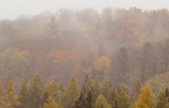 San Antonio Braces for Rain and Fog, With a Sunny Weekend in the Forecast