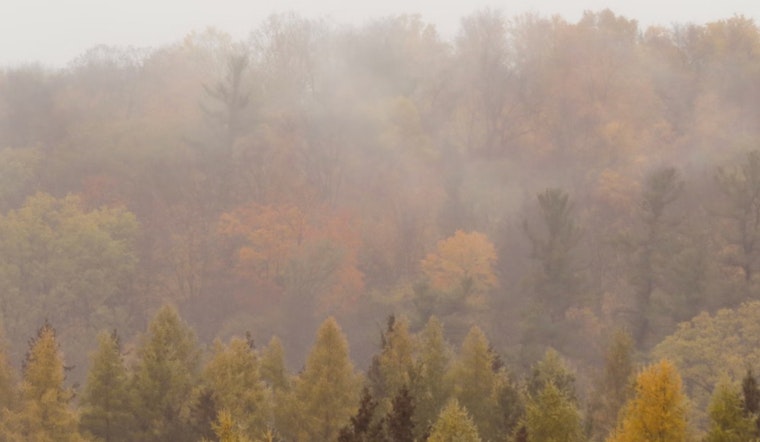 San Antonio Braces for Rain and Fog, With a Sunny Weekend in the Forecast