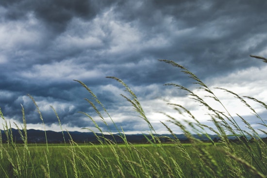 San Antonio Braces for Wind Gusts Up to 46 MPH, Cool Temperatures to Follow