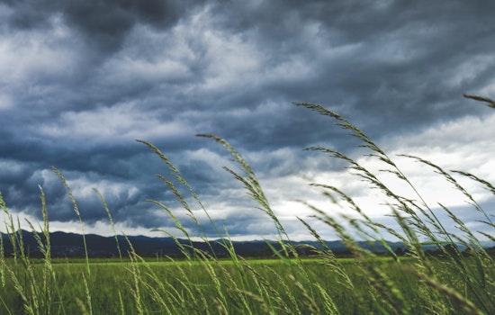 San Antonio Braces for Wind Gusts Up to 46 MPH, Cool Temperatures to Follow