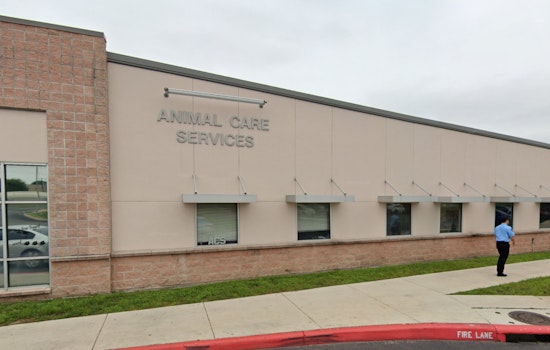 San Antonio Couple Hospitalized After Vicious Pit Bull Attack Near Stinson Airport