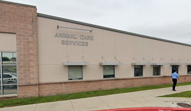 San Antonio Couple Hospitalized After Vicious Pit Bull Attack Near Stinson Airport