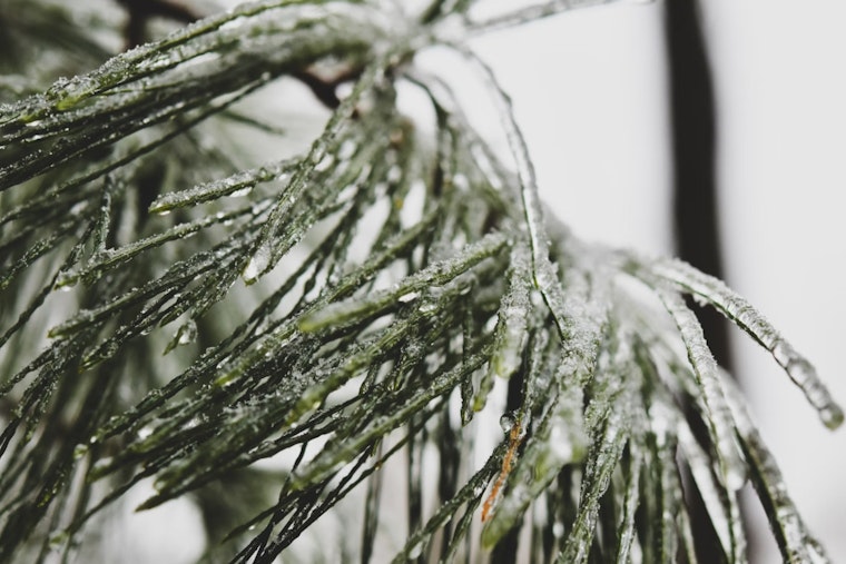 San Antonio Faces Freezing Martin Luther King Jr. Day, Icy Conditions Expected