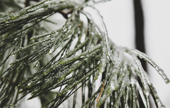San Antonio Faces Freezing Martin Luther King Jr. Day, Icy Conditions Expected
