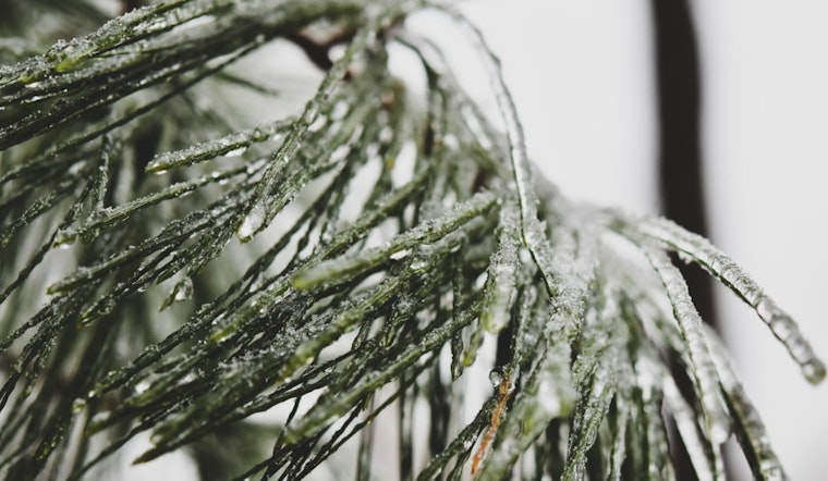 San Antonio Faces Freezing Martin Luther King Jr. Day, Icy Conditions Expected