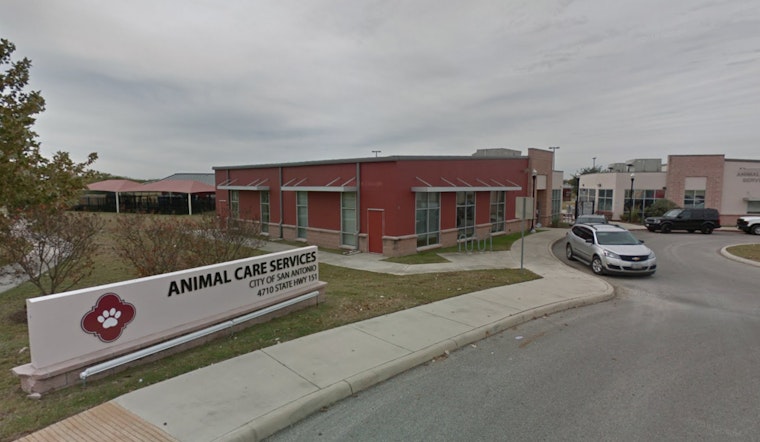 San Antonio Faces Surge in Animal Neglect Cases Amid Extreme Weather