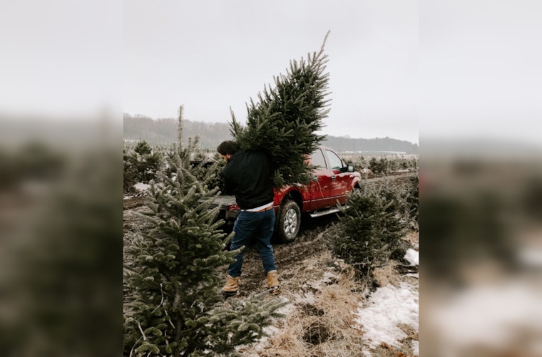 San Antonio Residents Encouraged to Recycle Christmas Trees for Mulch at Designated Drop-Off Centers