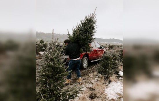 San Antonio Residents Encouraged to Recycle Christmas Trees for Mulch at Designated Drop-Off Centers