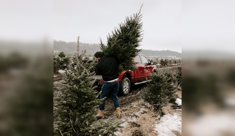 San Antonio Residents Encouraged to Recycle Christmas Trees for Mulch at Designated Drop-Off Centers
