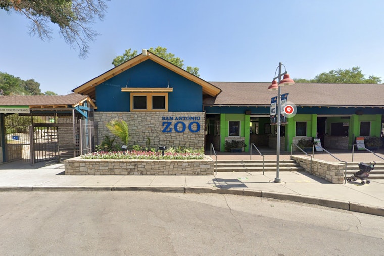 San Antonio Zoo Merges Wildlife with Pokémon Go at First Community Day of the Year