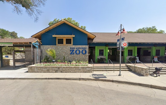 San Antonio Zoo Merges Wildlife with Pokémon Go at First Community Day of the Year