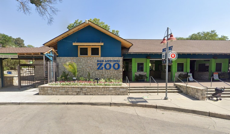 San Antonio Zoo Merges Wildlife with Pokémon Go at First Community Day of the Year