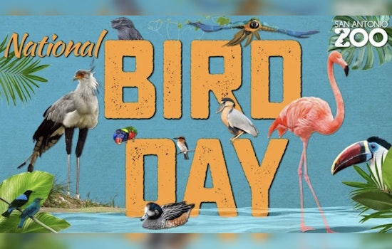 San Antonio Zoo Offers $8 Admission for Bexar County Locals on National Bird Day, More Deals to Follow