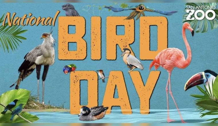 San Antonio Zoo Offers $8 Admission for Bexar County Locals on National Bird Day, More Deals to Follow