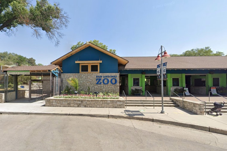 San Antonio Zoo Spices Up Valentine's Day with Poop Candles, Roach Naming, and Speed Dating