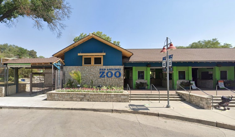 San Antonio Zoo Spices Up Valentine's Day with Poop Candles, Roach Naming, and Speed Dating