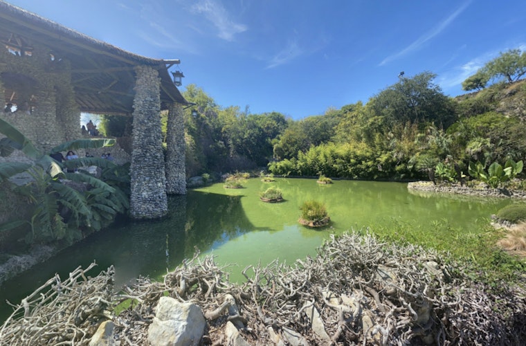 San Antonio's Brackenridge Park Eyes Revitalization As Public Meetings Seek Input for Overhaul
