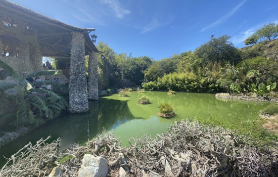 San Antonio's Brackenridge Park Eyes Revitalization As Public Meetings Seek Input for Overhaul