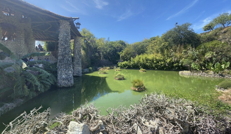 San Antonio's Brackenridge Park Eyes Revitalization As Public Meetings Seek Input for Overhaul