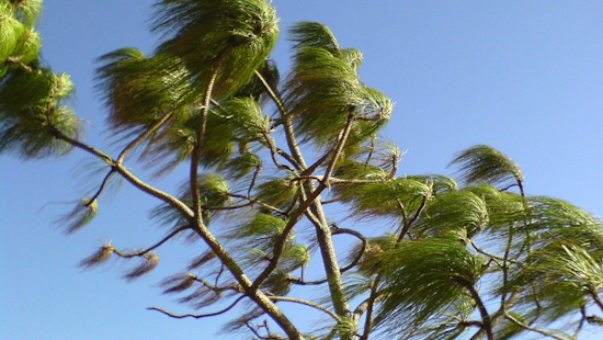 San Diego and San Bernardino Braced for Weekend Gusty Winds, Slight Chance of Showers