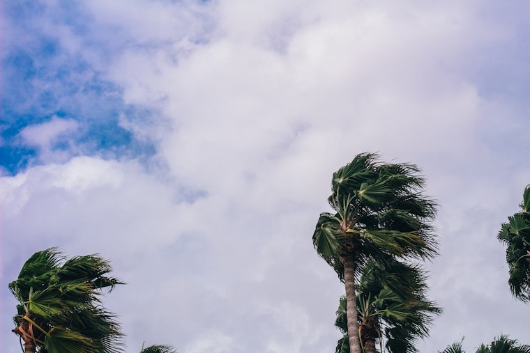 San Diego Faces Gale Warnings, High Winds, and Surf as NWS Issues Weather Advisories