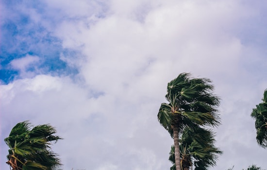 San Diego Faces Gale Warnings, High Winds, and Surf as NWS Issues Weather Advisories