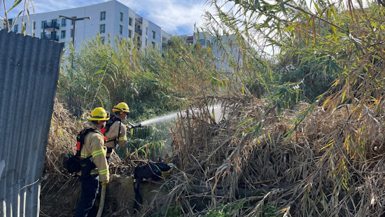 San Diego Firefighters Rapidly Douse Brush Fire Near College Area Construction Site