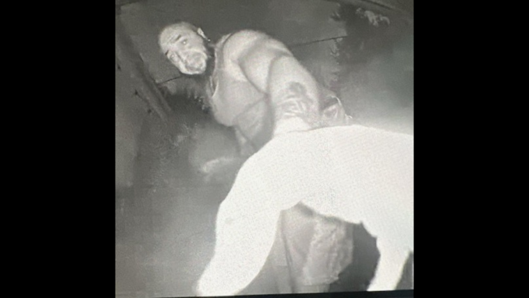 San Diego Police Seek Public's Help to Locate Suspected Peeping Tom in Dorothy Drive Incident