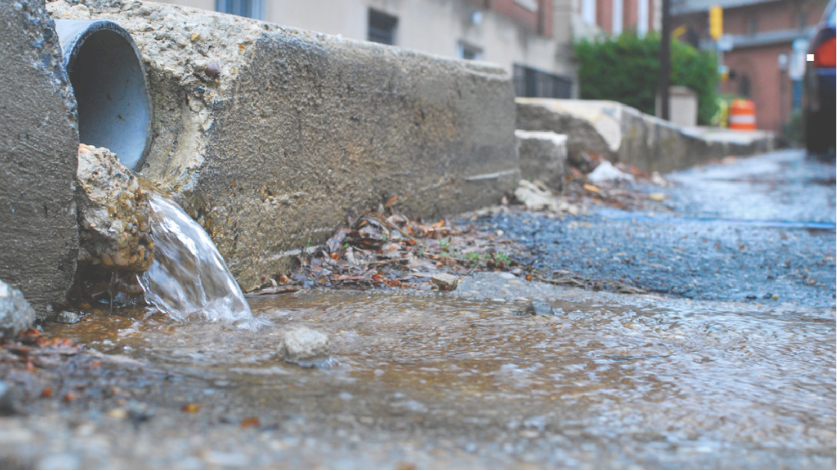 San Diego Steps Up Clearing Operations After Chollas Creek Storm