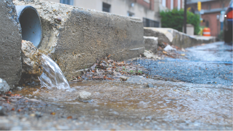 San Diego Steps Up Clearing Operations After Chollas Creek Storm Debris Causes Flood Risk