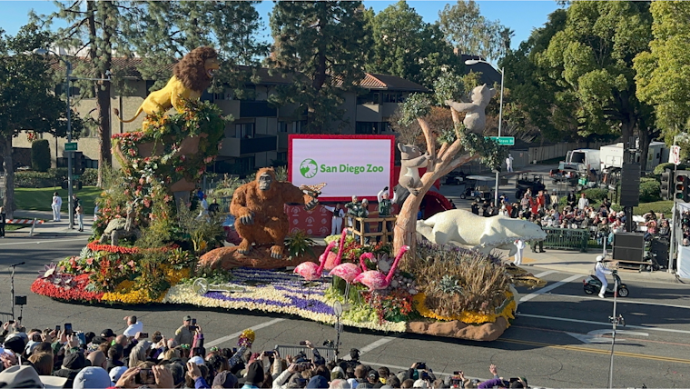 San Diego Zoo's "It Began With a Roar" Float Triumphs with Sweepstakes