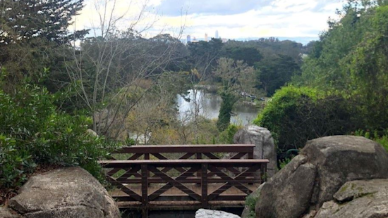 San Francisco's Golden Gate Park Renames Stow Lake to Blue Heron Lake, Shedding Antisemitic Legacy