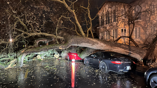 San Mateo Commuters Face Detour as Downed Tree Blocks 4th Ave. Amid Storm Season