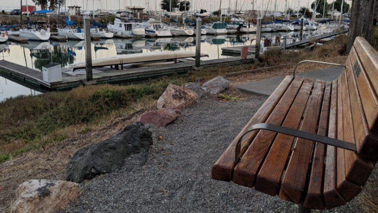 San Mateo County's Coyote Point Hit by Series of Recreational Area Closures