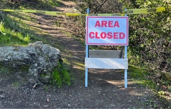 San Mateo County's Junipero Serra Park Announces Temporary Trail Closures for Safety Maintenance