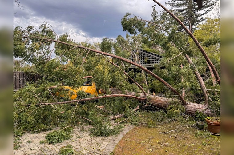 Saratoga Girl Rescued After Tree Fall, Santa Clara Firefighters Urge Vigilance During Severe Weather