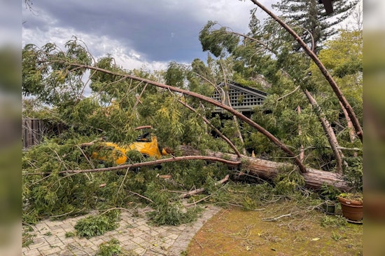 Saratoga Girl Rescued After Tree Fall, Santa Clara Firefighters Urge Vigilance During Severe Weather