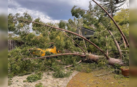 Saratoga Girl Rescued After Tree Fall, Santa Clara Firefighters Urge Vigilance During Severe Weather