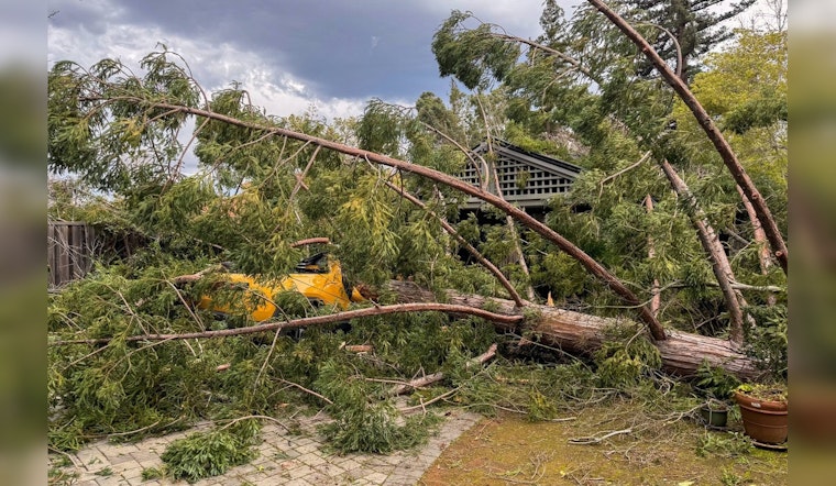 Saratoga Girl Rescued After Tree Fall, Santa Clara Firefighters Urge Vigilance During Severe Weather